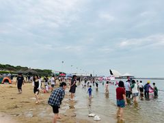 -碧海金沙