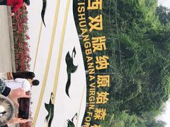 -西双版纳原始森林公园