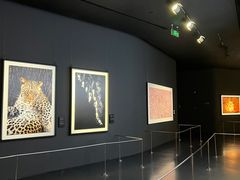 -罗红摄影艺术馆