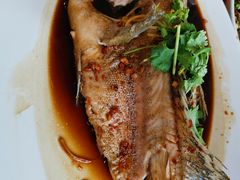 -大树下海鲜饭店