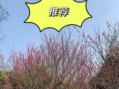 -广富林郊野公园
