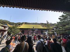 -普陀山慧济禅寺
