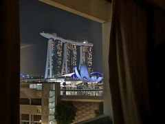 -新加坡文华东方酒店