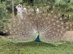 -昆明动物园