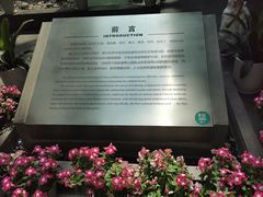 -中国湿地博物馆