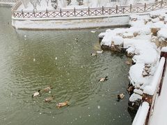 -迎泽公园