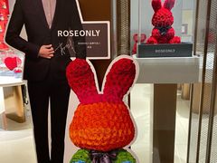 -ROSEONLY诺誓(磐基中心店)