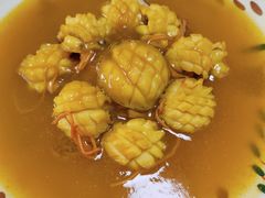 -田螺阿姨自营月嫂·育儿嫂(高新店)