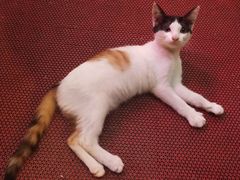 -金利茶餐厅(中船汇店)