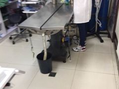 -邢大夫动物医院
