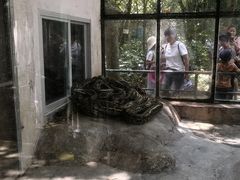 -广东茂名森林公园