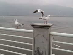 -滇池海埂公园