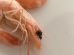 -考记泥焗鸡农庄·海鲜(北洛秘境店)