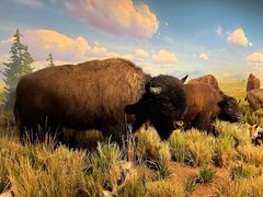 -陕西自然博物馆