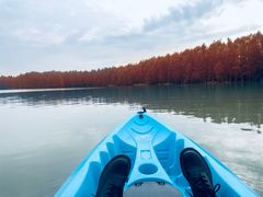 -上海海湾国家森林公园