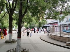 -文瀛公园