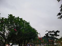 -野狸岛