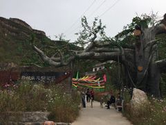 -大平台龙居瀑布旅游区