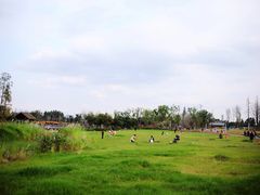 -三圣花乡旅游区