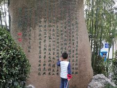 -南汇桃花村
