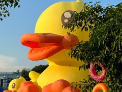 -巨鹏飞梦幻海岸