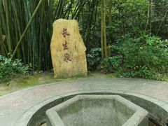 -大屏嶂森林公园