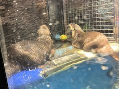 -成都浩海立方海洋公园