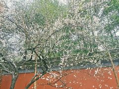-钱王祠