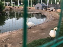 -香山公园