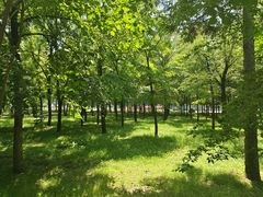 -东北林业大学-俭德园食堂