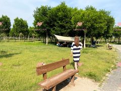 -东郊湿地公园