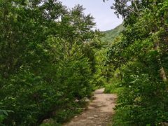 -碓臼峪自然风景区