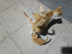 -北语时光西餐厅