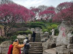 -重庆彩云湖湿地公园