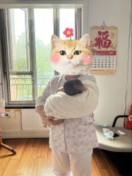 -沪壹健康国际母婴月子中心(360复旦奥医一妇婴东院店)