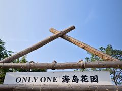 -野狸岛