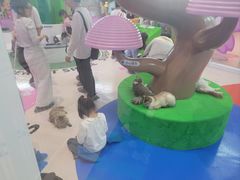 -PO PARK东方宝泰