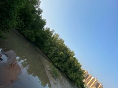 -大亚湾红树林城市湿地公园