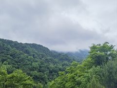 -狮子沟牧场