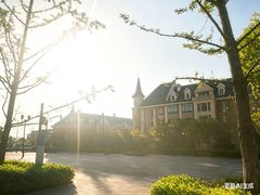 -九龙湖公园