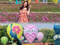-广东花都香草世界旅游度假区