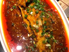 -陈麻婆豆腐总店