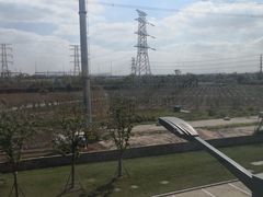 -风味小吃(浦东南路2368)