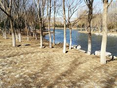 -大兴滨河森林公园