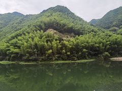 -四明山国家森林公园