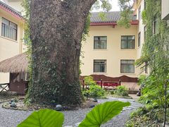 -普陀山雷迪森庄园
