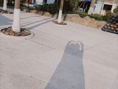 -重庆海昌加勒比海水世界