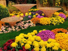 -上海共青森林公园