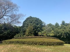 -菊花台公园