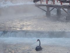 -水磨沟公园